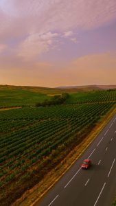 INTERVIU_VINULRO6-768x1366