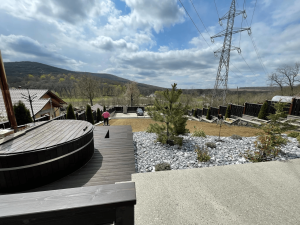 Amenajari Gradini Iasi