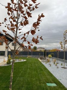 fd3e3ff9-02a8-4ec0-9c24-02fa03699659