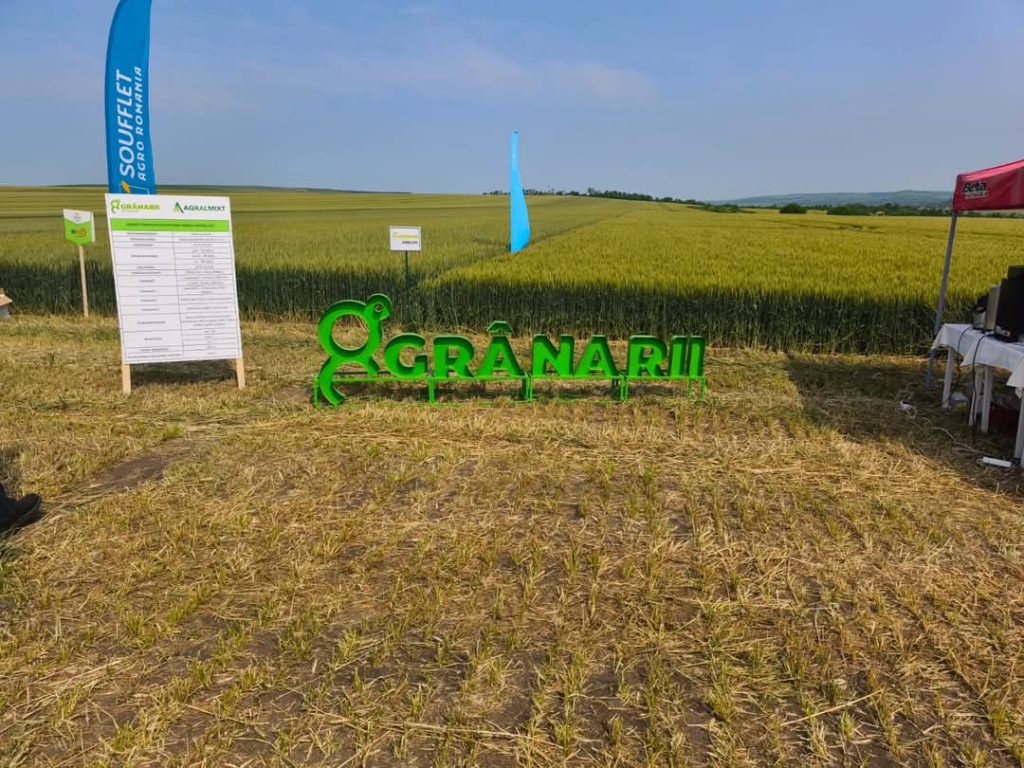 67c41a06-7329-454b-9b35-82372feda226