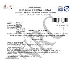 Certificat Constatator Online_ Ghid Pas cu Pas