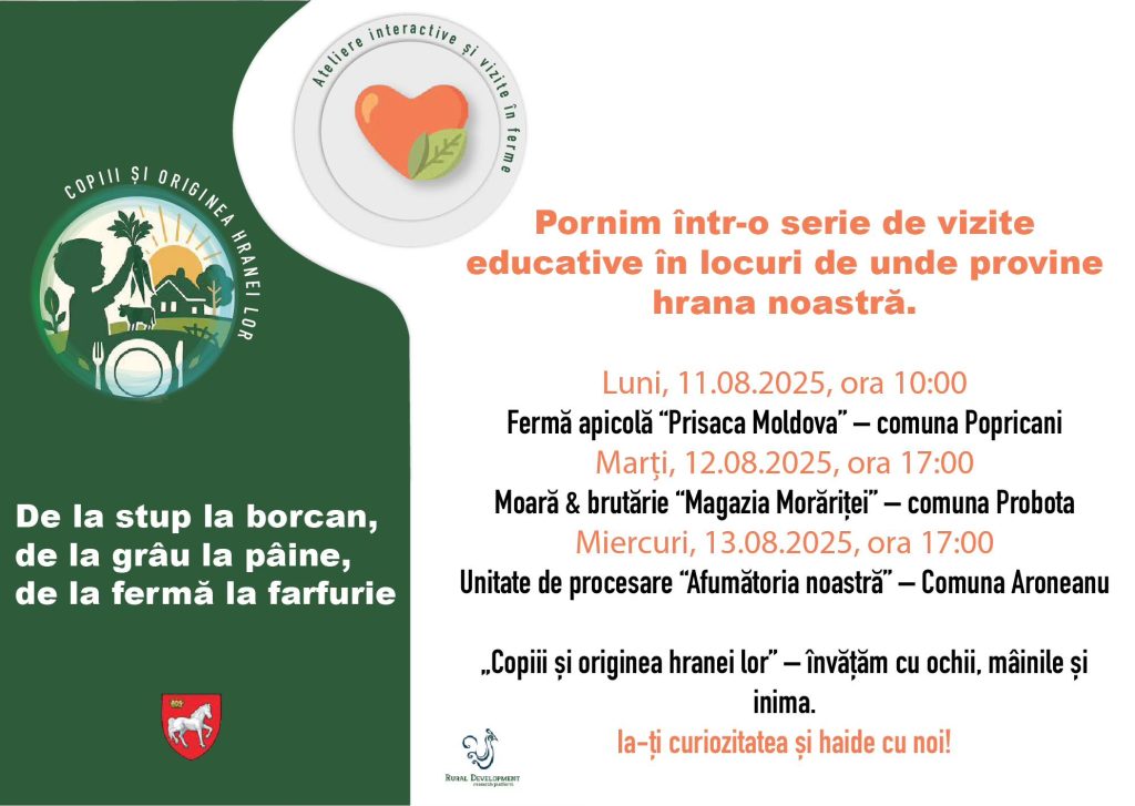 515504031_1290493509753334_6038369668470184826_n