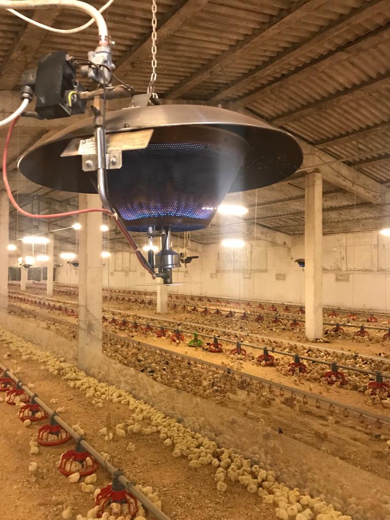 Aplicabilitatea soluţiilor GPL pentru domeniul agro-alimentar