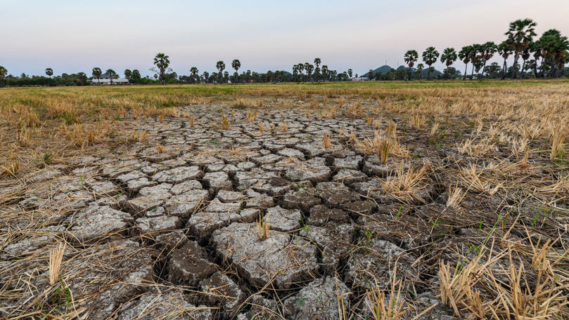 758a1e6156c189cf37f2fb08f425eaf0