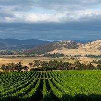 hr_tolpuddle_feb22cchriscrerar-8767
