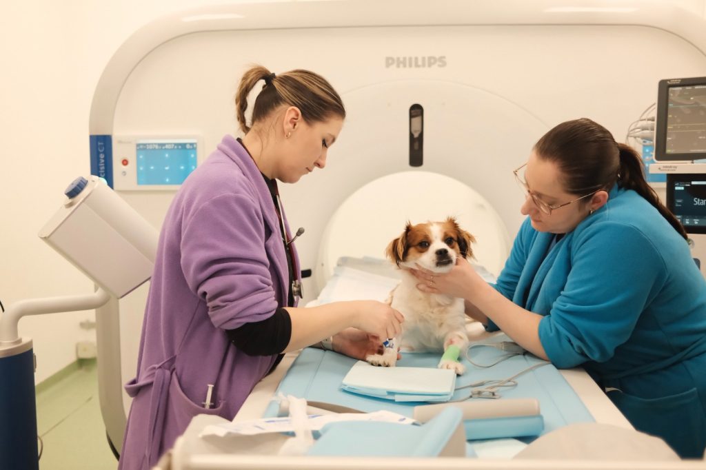 WhatsApp Image 2026-03-05 at 09.25.58