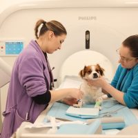 WhatsApp Image 2026-03-05 at 09.25.58