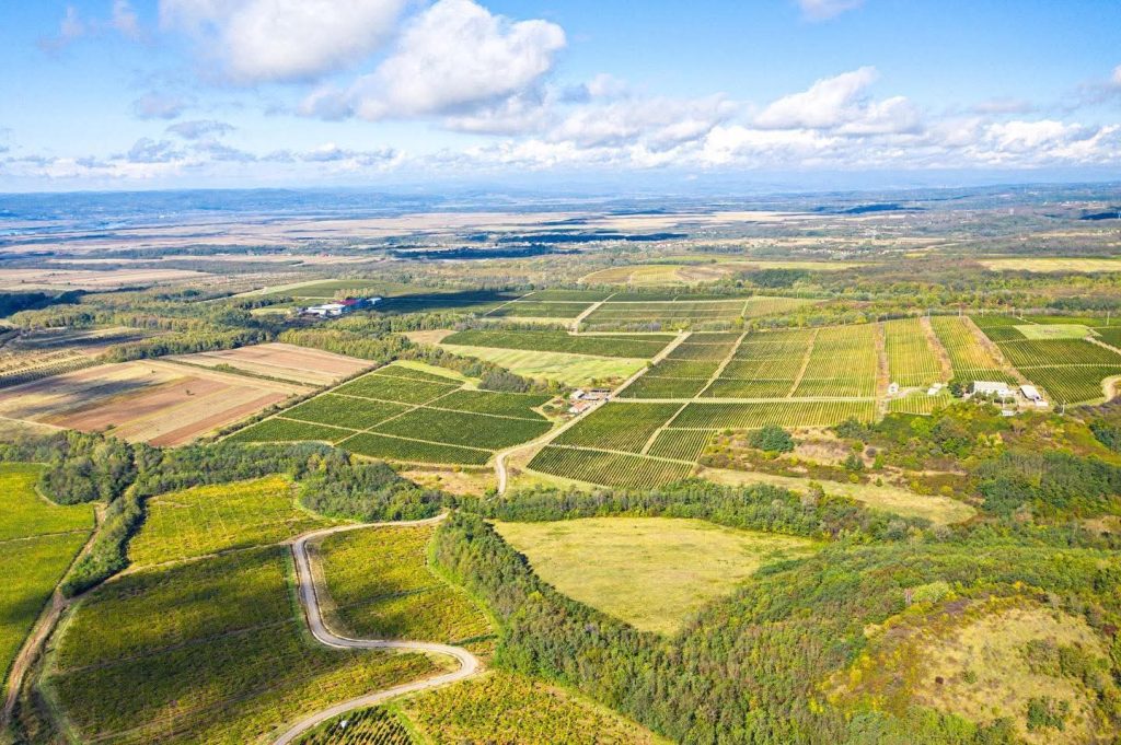 domeniile samburesti_proquinazid_corteva agriscience (2)