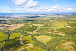 domeniile samburesti_proquinazid_corteva agriscience (2)