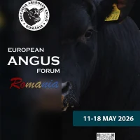 România devine capitala europeană a rasei Aberdeen Angus: European Angus Forum 2026 începe în luna Mai