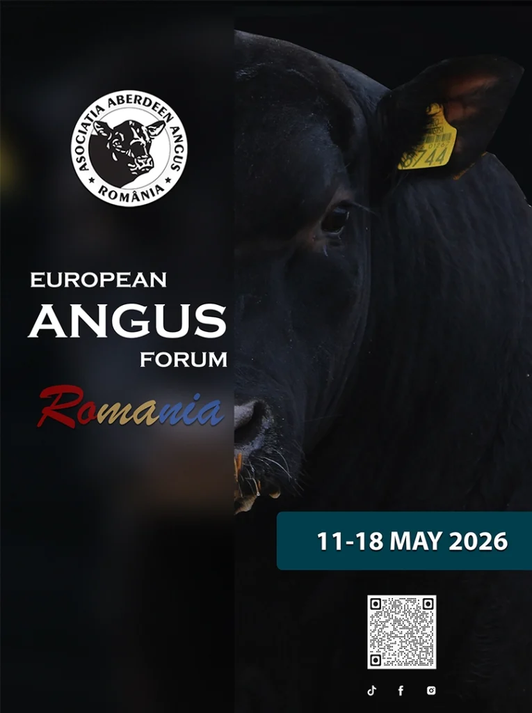european-angus-forum