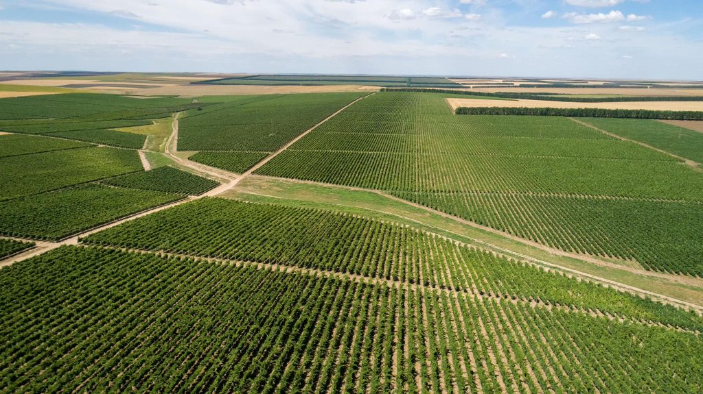crama viisoara_corteva agriscience_2