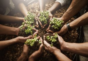 Un distribuitor de pesticide și acaricide care livrează produsele către fermieri