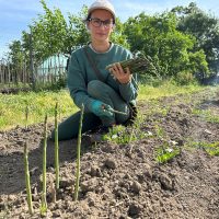 Cum a transformat o antreprenoare din România cultivarea sparanghelului într-o afacere de succes